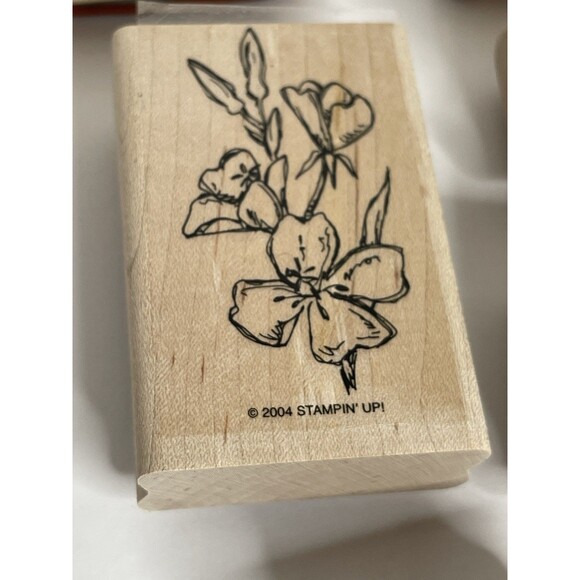 Stampin Up 2004 Natural Beauty Set Of 6 Rubber Mounted Stamps - Picture 2 of 3